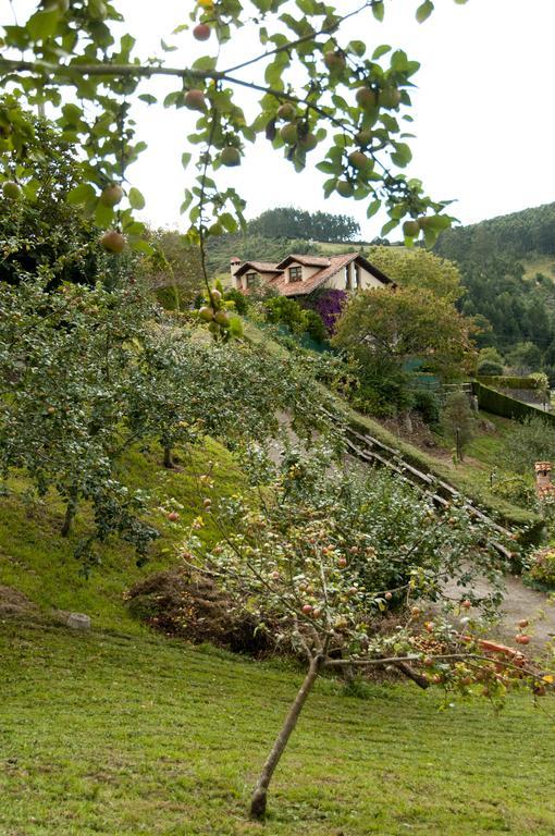 Trisqueles Y Buganvillas Villaviciosa (Asturias) Exterior foto