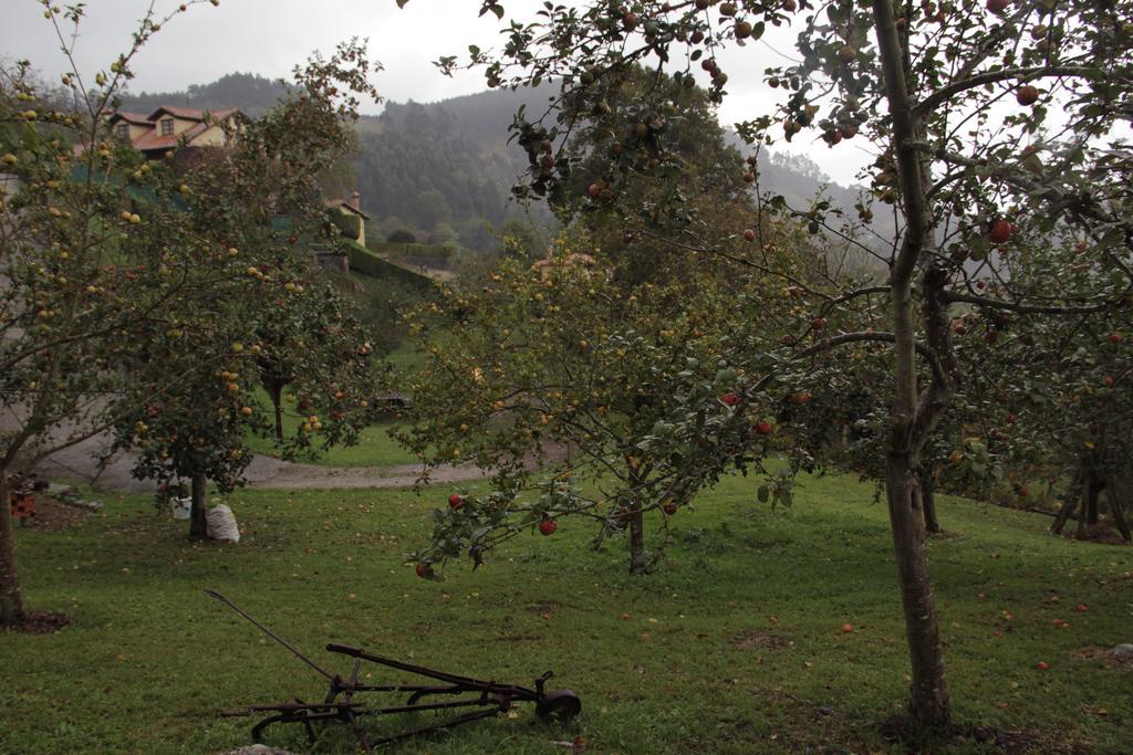 Trisqueles Y Buganvillas Villaviciosa (Asturias) Exterior foto