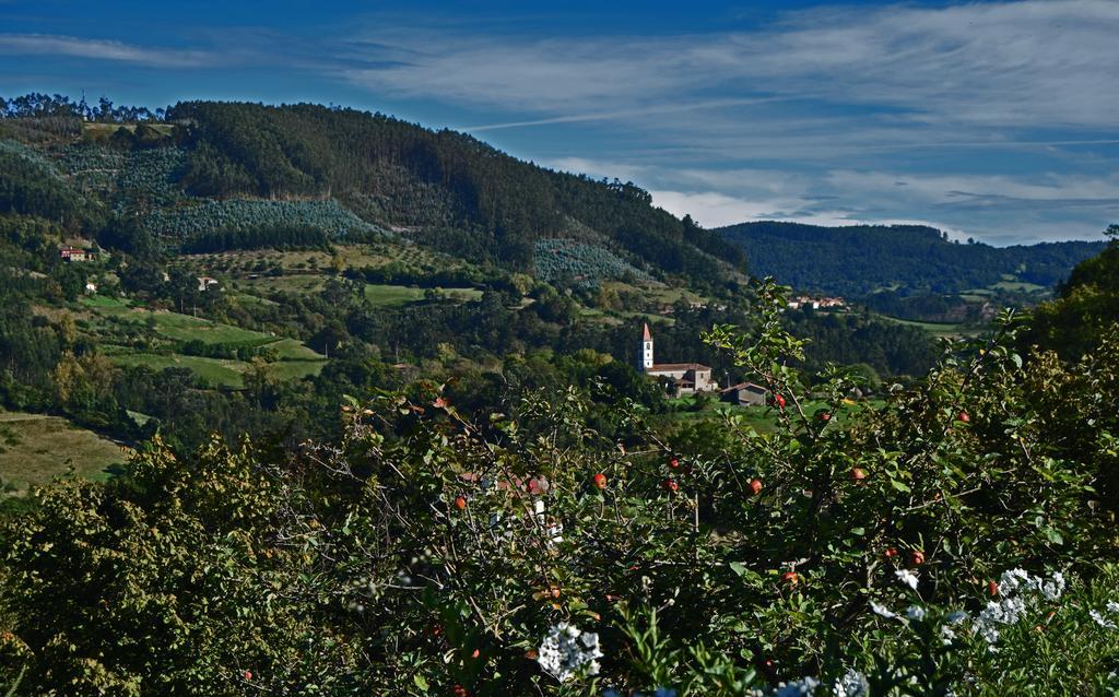 Trisqueles Y Buganvillas Villaviciosa (Asturias) Exterior foto